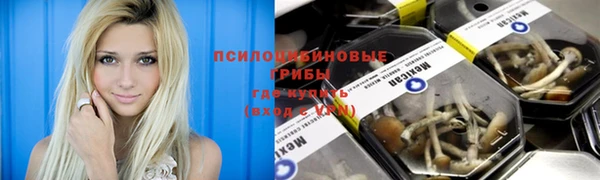 таблы Алзамай