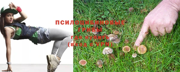 таблы Алзамай