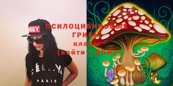 таблы Алзамай
