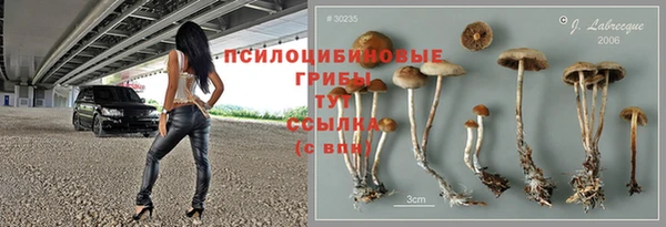 марки lsd Алексеевка