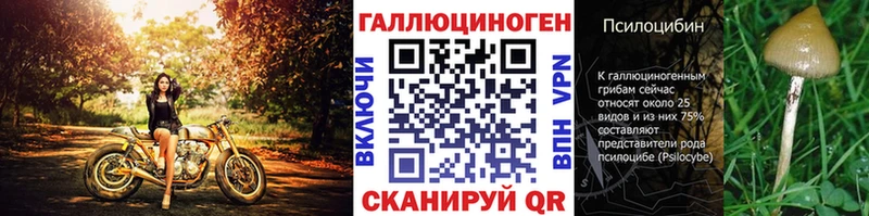 Псилоцибиновые грибы мицелий  как найти   Трубчевск 